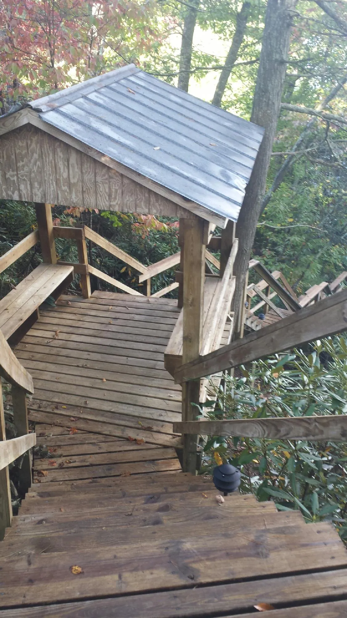 Metal roofed shelter over wooden steps on a wooded walkway in Roosevelt